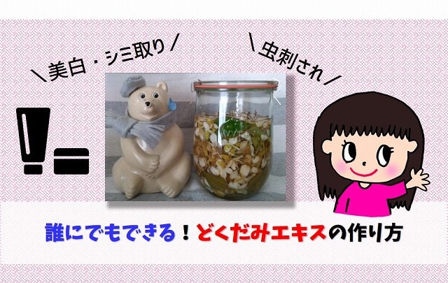 どくだみエキス・化粧水の作り