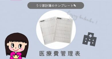 医療費は家計簿でどう管理する？そんな時は医療費管理表にお任せ